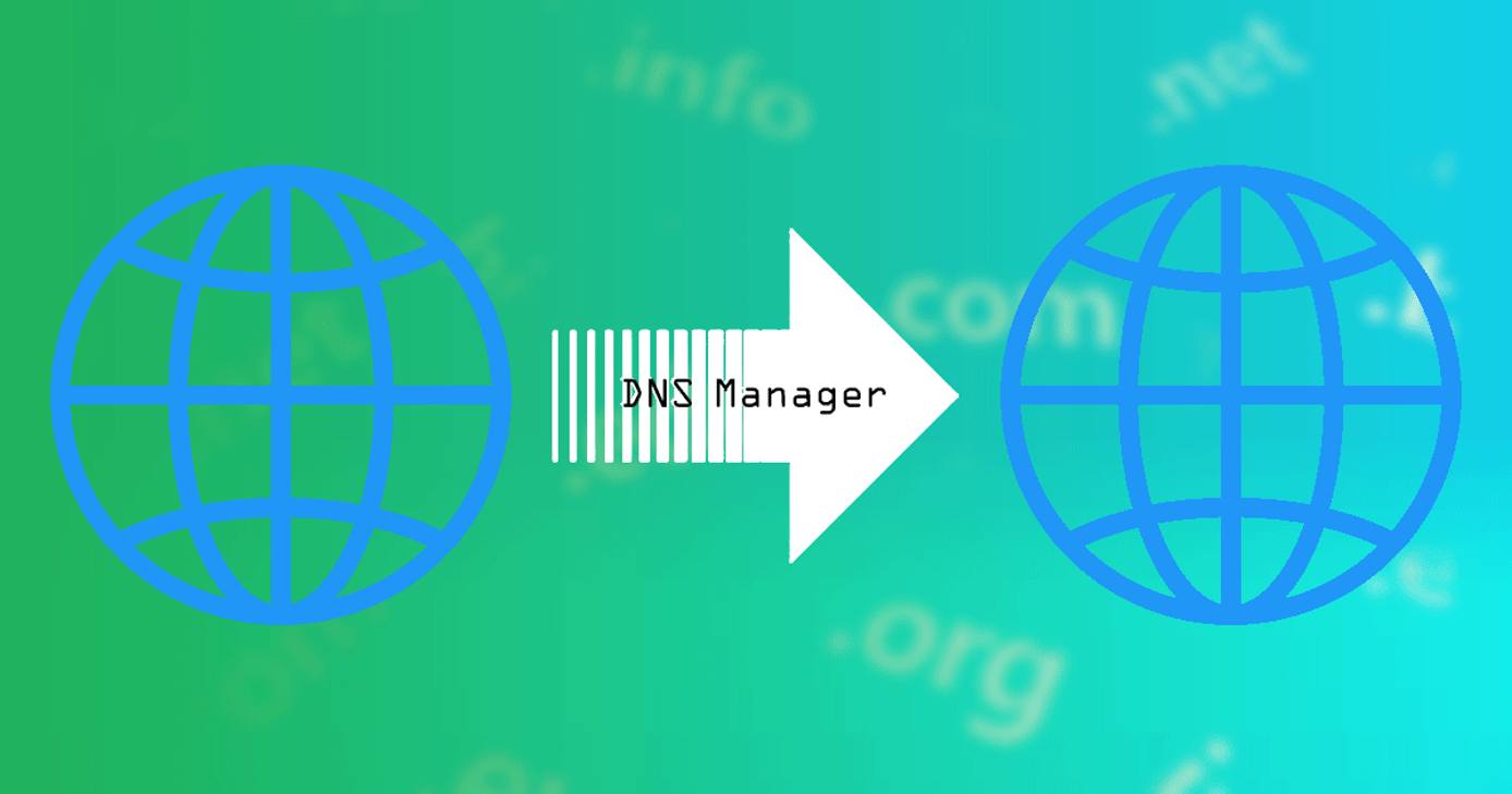 DNS Manager DNS Manager